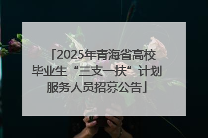2025年青海省高校毕业生“三支一扶”计划服务人员招募公告