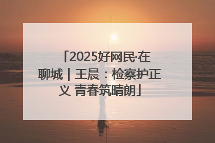 2025好网民·在聊城｜王晨：检察护正义 青春筑晴朗