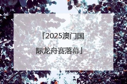 2025澳门国际龙舟赛落幕