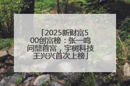 2025新财富500创富榜：张一鸣问鼎首富，宇树科技王兴兴首次上榜