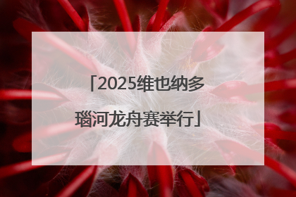 2025维也纳多瑙河龙舟赛举行