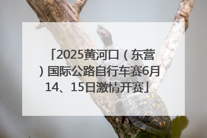 2025黄河口（东营）国际公路自行车赛6月14、15日激情开赛