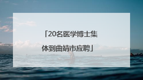 20名医学博士集体到曲靖市应聘