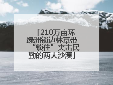 210万亩环绿洲锁边林草带“锁住”夹击民勤的两大沙漠