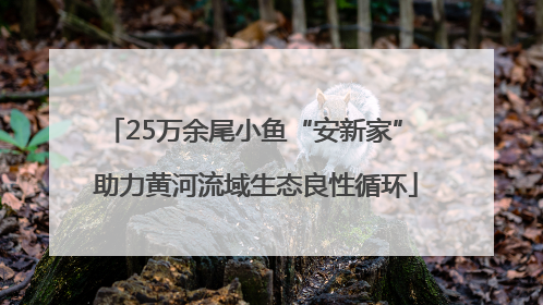 25万余尾小鱼“安新家” 助力黄河流域生态良性循环