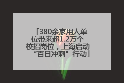 380余家用人单位带来超1.2万个校招岗位，上海启动“百日冲刺”行动