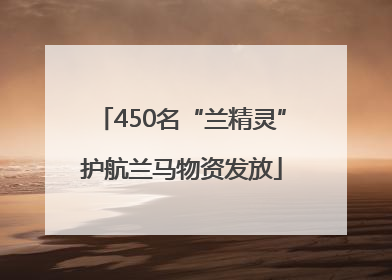 450名“兰精灵”护航兰马物资发放