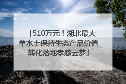 510万元！湖北最大单水土保持生态产品价值转化落地孝感云梦