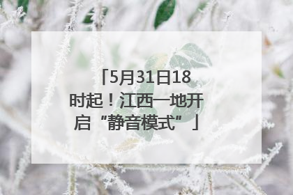 5月31日18时起！江西一地开启“静音模式”