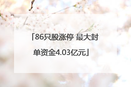 86只股涨停 最大封单资金4.03亿元
