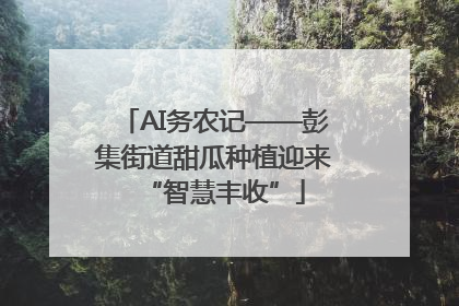 AI务农记——彭集街道甜瓜种植迎来“智慧丰收”
