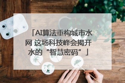 AI算法重构城市水网 这场科技峰会揭开水的“智慧密码”
