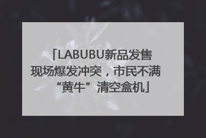 LABUBU新品发售现场爆发冲突，市民不满“黄牛”清空盒机