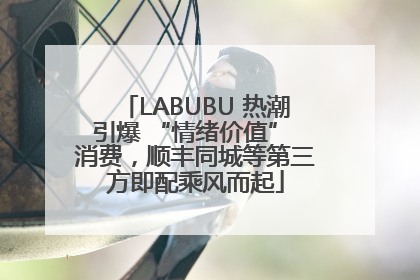 LABUBU 热潮引爆 “情绪价值” 消费，顺丰同城等第三方即配乘风而起