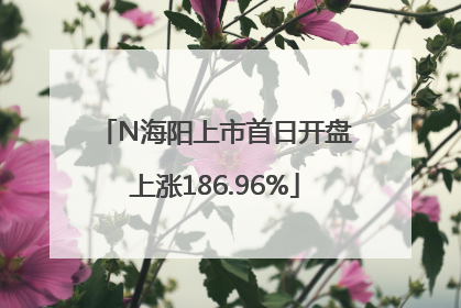 N海阳上市首日开盘上涨186.96%