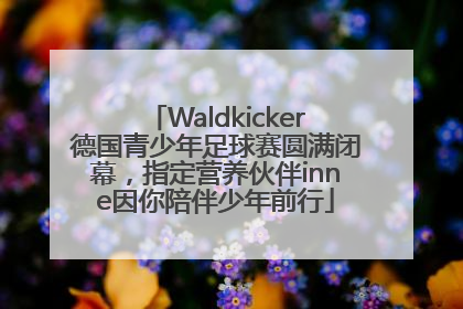 Waldkicker德国青少年足球赛圆满闭幕，指定营养伙伴inne因你陪伴少年前行